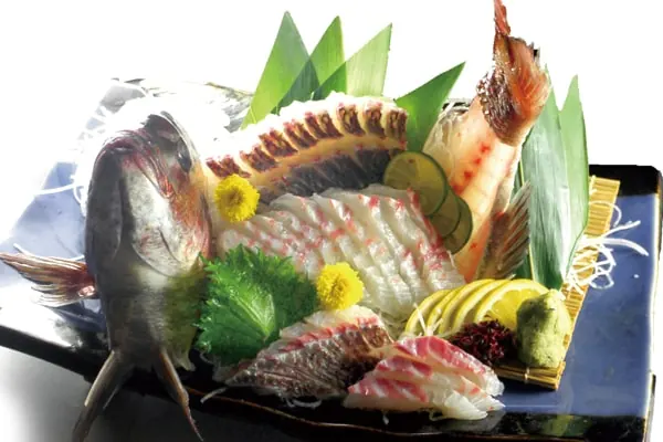イシダイの刺身