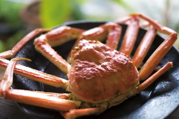 ズワイガニ料理