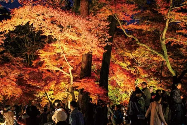 小松寺のもみじまつり