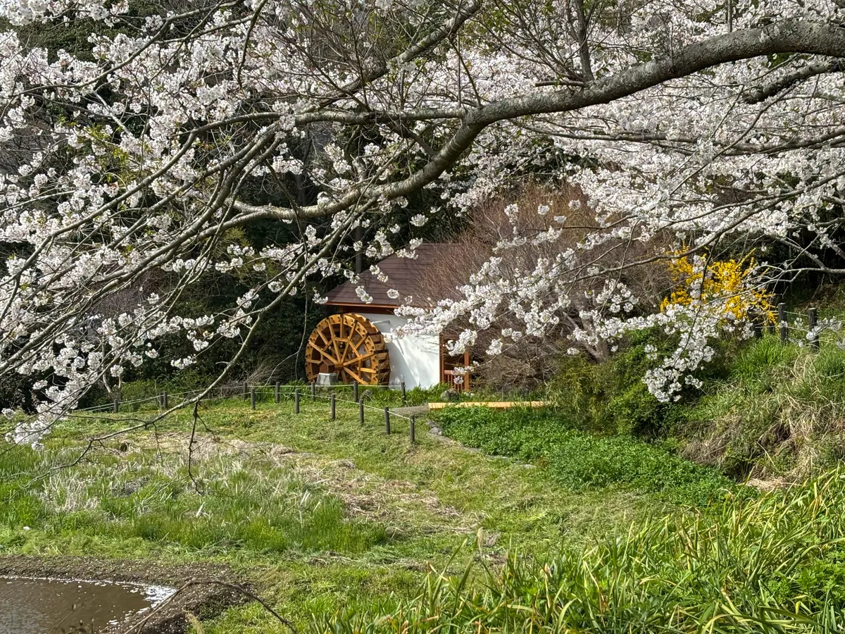 里山の風景