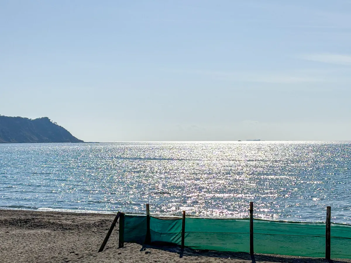 春の海