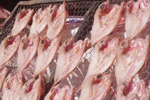 干物づくり